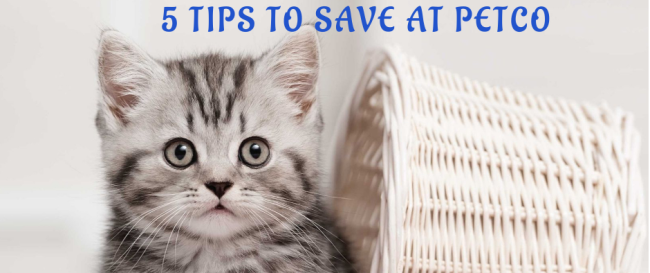 5 Tips to Save at Petco