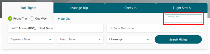 How to use Aer Lingus promo code