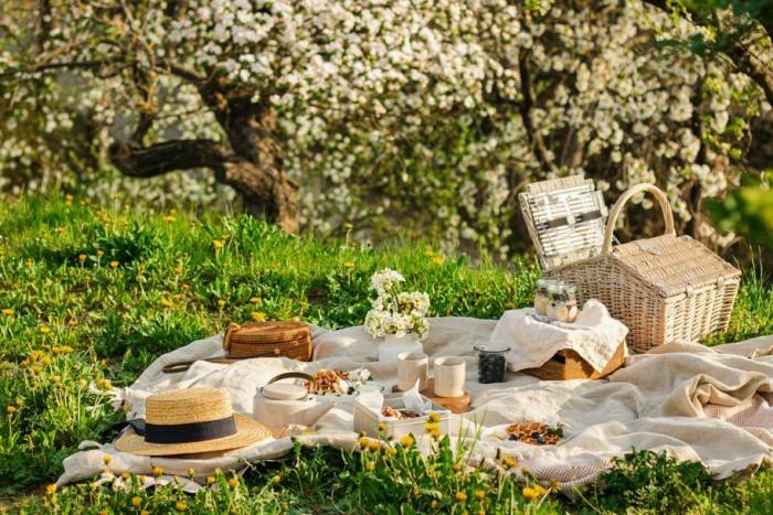 Spring Picnic in Blooming Garden