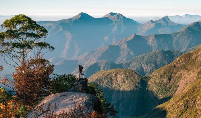 Columbia Mountain Collection