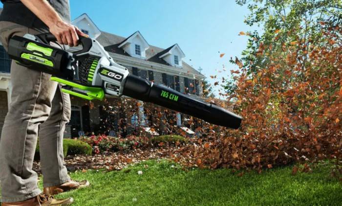 Leaf Blower