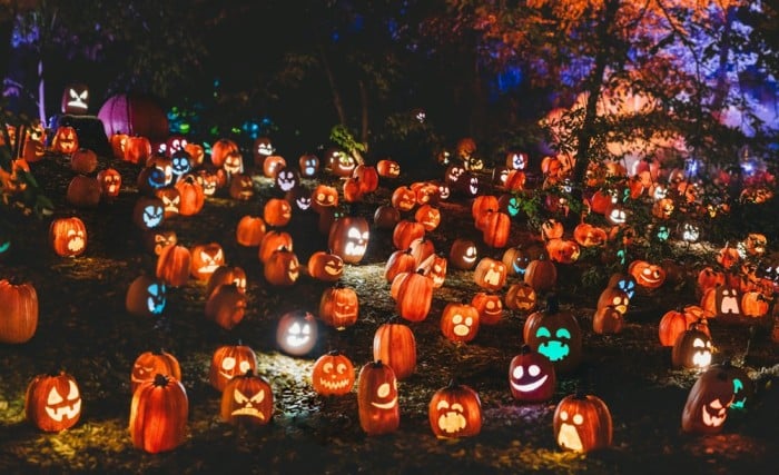 A Huge Number of Jack-o-Lanters