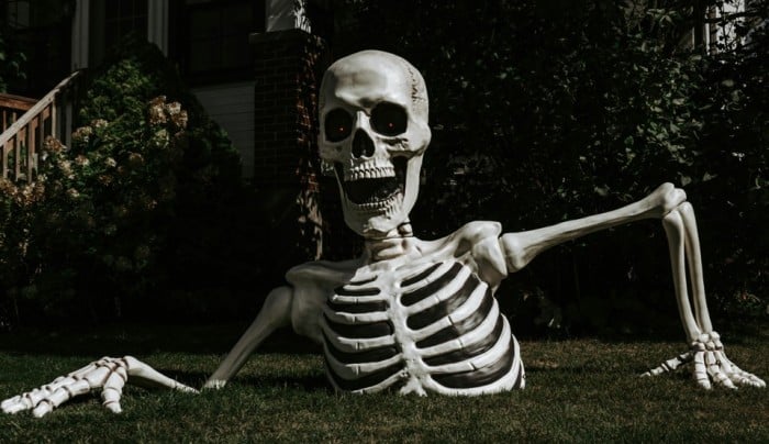 Large Skeleton