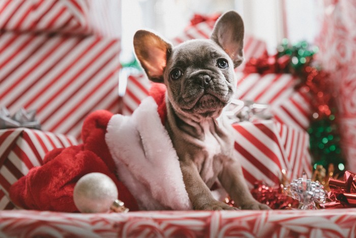 Christmas Sales 2019