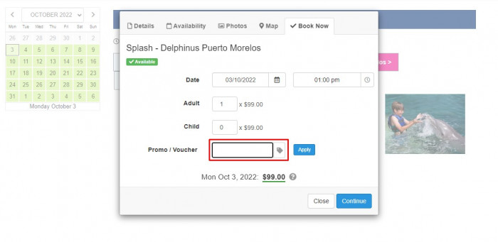 How to use Delphinus promo code