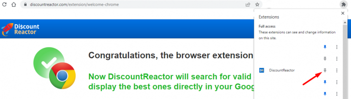 DiscountReactor Extension Review: Does It Really Work?