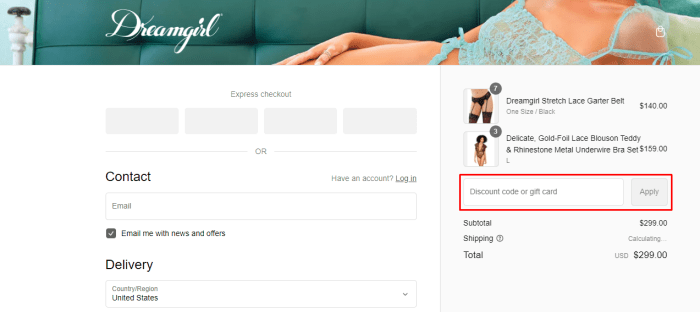 How to use Dreamgirl International promo code