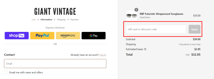 How to use Giant Vintage promo code