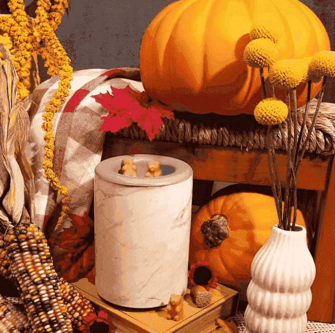 Happy Wax Promo Codes 10 OFF in March 2024