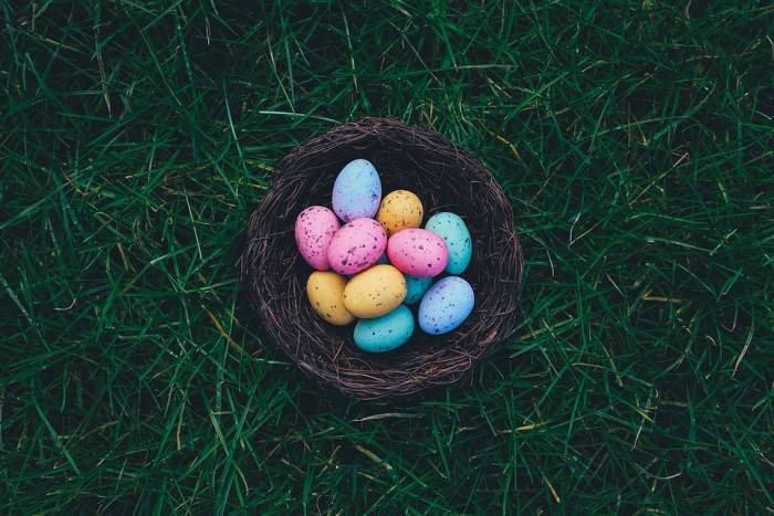 oriental trading easter baskets 