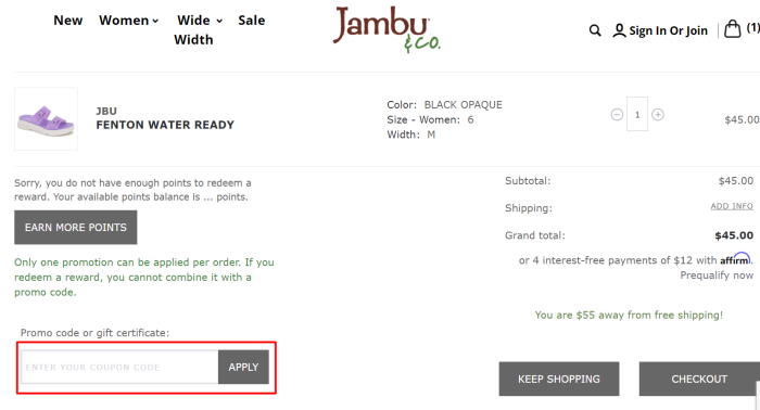 How to use Jambu promo code
