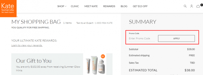 how to apply promo code at Kate Somerville