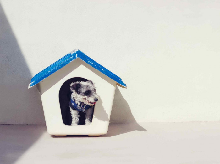 KindTail functional houses for your dog