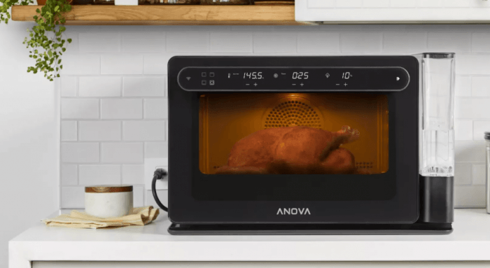 Anova Culinary Labor Day