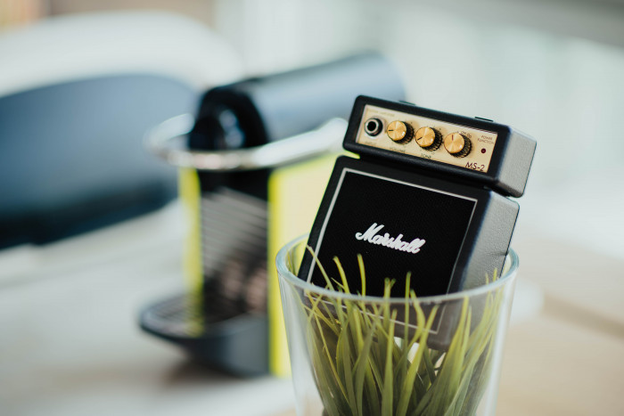 Marshall speaker