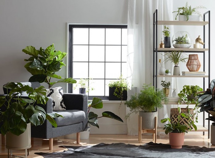 Modern Sprout Promo Codes 15 OFF in April 2025