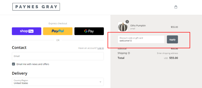 How to use Paynes Gray promo code