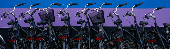 cognition cyclery discount code