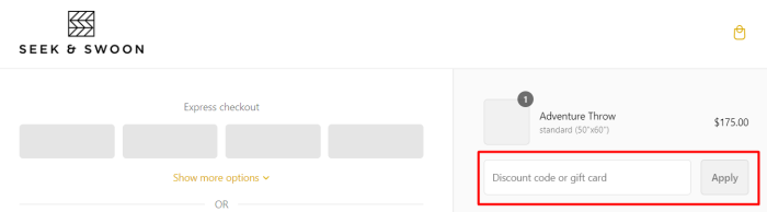 How to use Seek & Swoon promo code