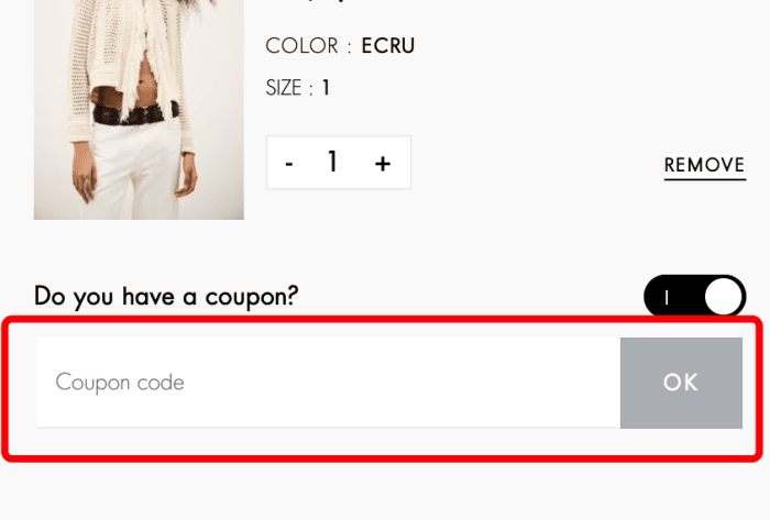 Where to enter ba&sh promo code How to use ba&sh promo code