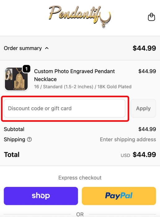 How to use Pendantify promo code