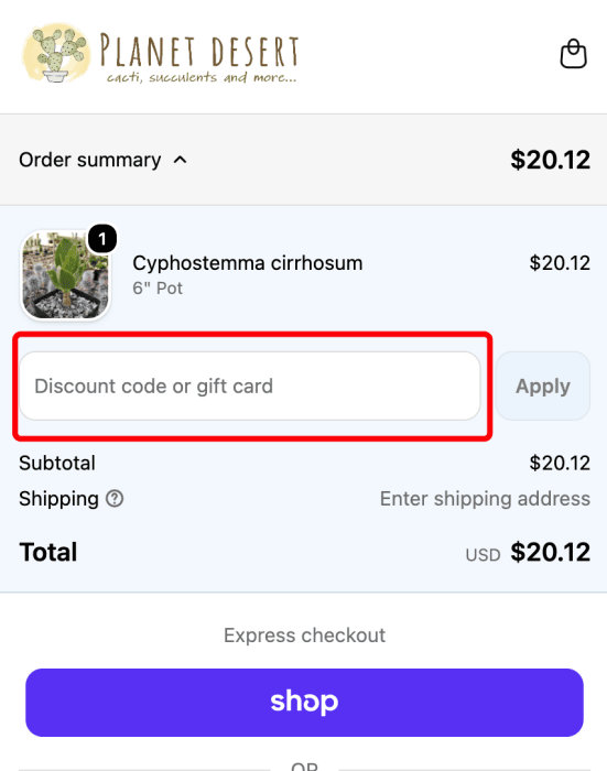 How to use Planet Desert promo code