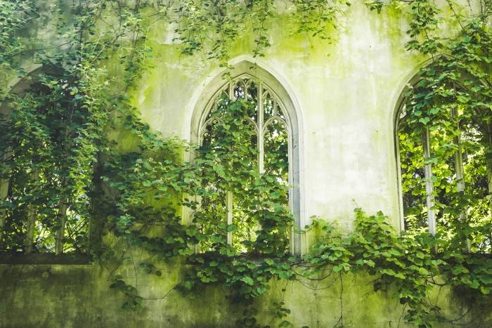Environment St.Patricks Gift Guide