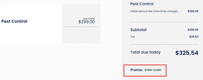How to use Terminix promo code