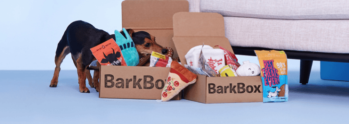 barkbox subscription