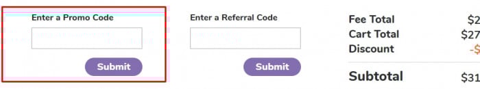 How to use Troomi promo code