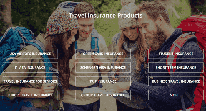 VisitorsCoverage travel insurance 