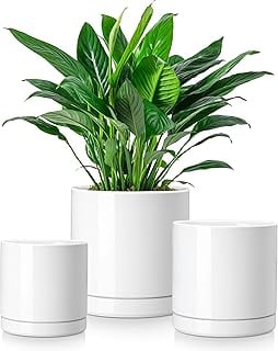 vancasso 3-PC Ceramic Plant Pots Set, Indoor for Succulents & More