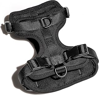 Wild One No-Pull Dog Harness with 3 Leash Clips & Padded Vest, XS Size