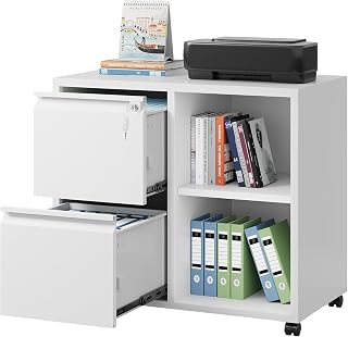 Devaise Metal File Cabinet with 2 Drawers & Lock, Adjustable Shelf, White