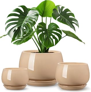 Vancasso 3-Pack Ceramic Plant Pots with Saucers for Indoor Plants
