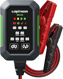 LOKITHOR Versatile Car Battery Charger for 6V/12V Batteries