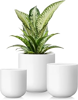 Vancasso 3-Part Ceramic Plant Pots Set, 4-6" Sizes, White, for Indoor Decor