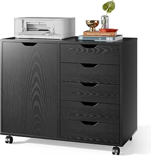 Devaise 5-Drawer Black Office Storage Cabinet