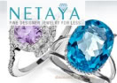 Netaya logo