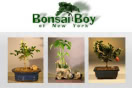 Bonsai Boy logo