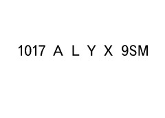 1017 ALYX 9SM promo codes