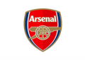 Arsenaldirect.arsenal.com