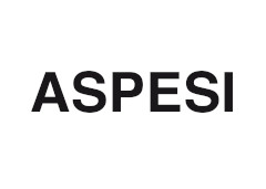 aspesi.com