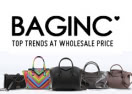 Baginc logo