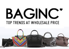 Baginc promo codes