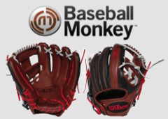 baseballmonkey.com