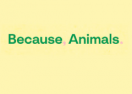 Because Animals logo