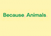 Because Animals