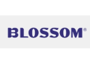 Blossom Beauty logo