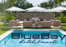 BlueBay logo